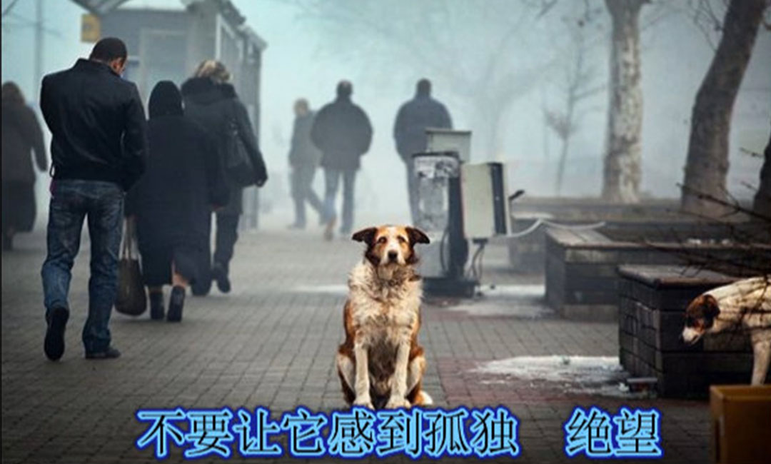 普洱普洱爱影圈微博微信转发案例